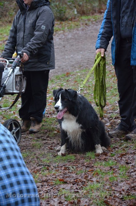 Wandertag 2016 - 079.jpg